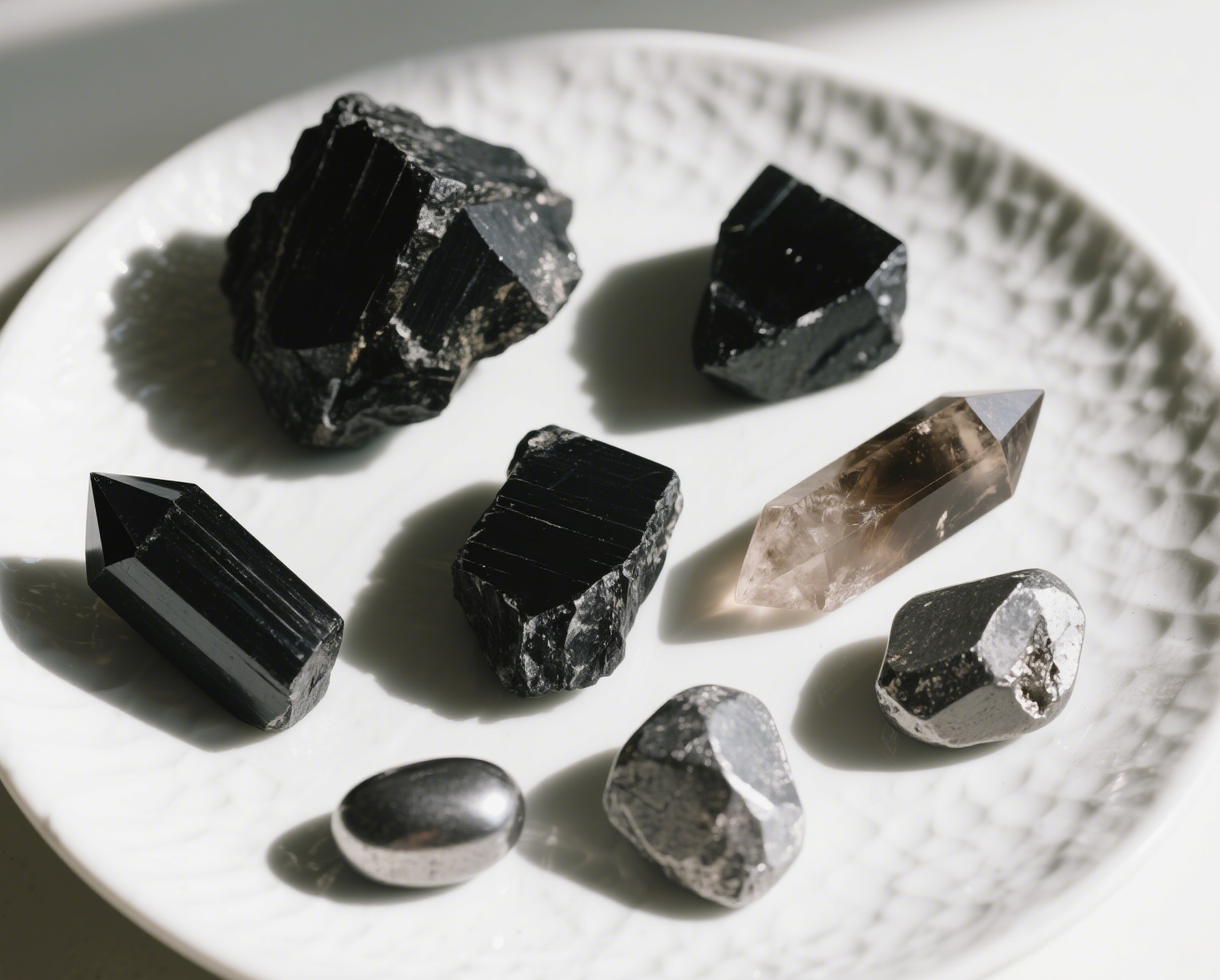 SHOP Protection Collection